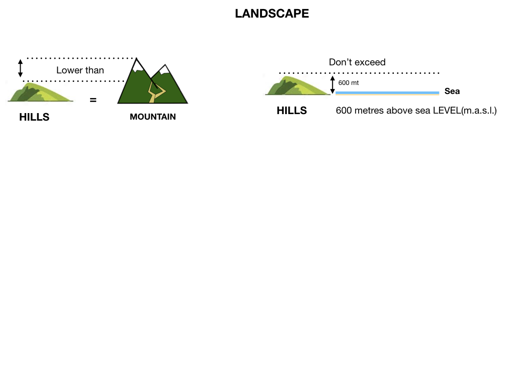 GEOGRAFIA_LANDESCAPE_SIMULAZIONE.020