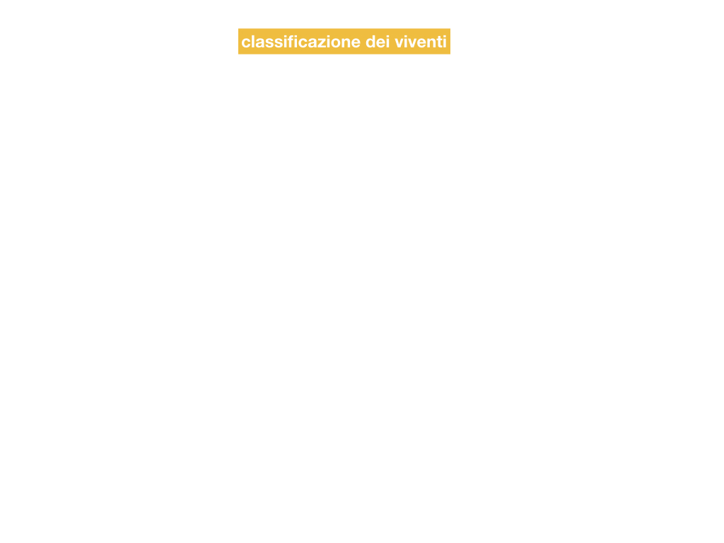 classificazione_viventi_SIMULAZIONE.002