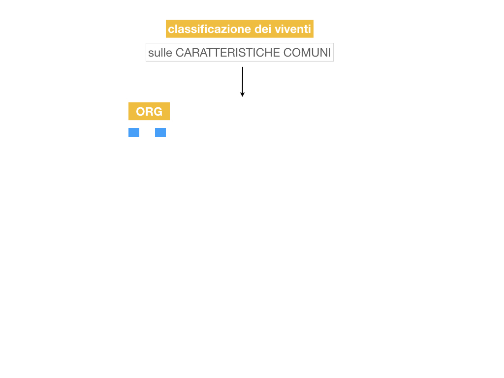 classificazione_viventi_SIMULAZIONE.004
