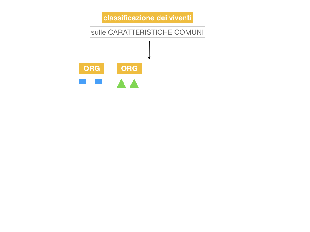 classificazione_viventi_SIMULAZIONE.005