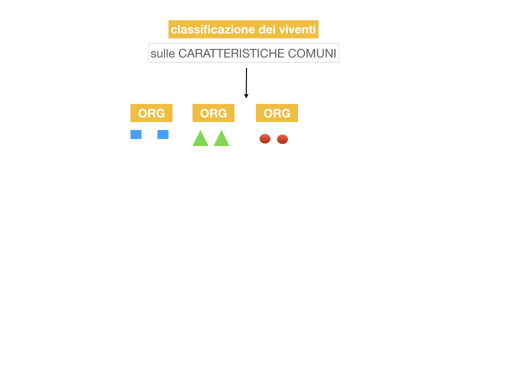 classificazione_viventi_SIMULAZIONE.006
