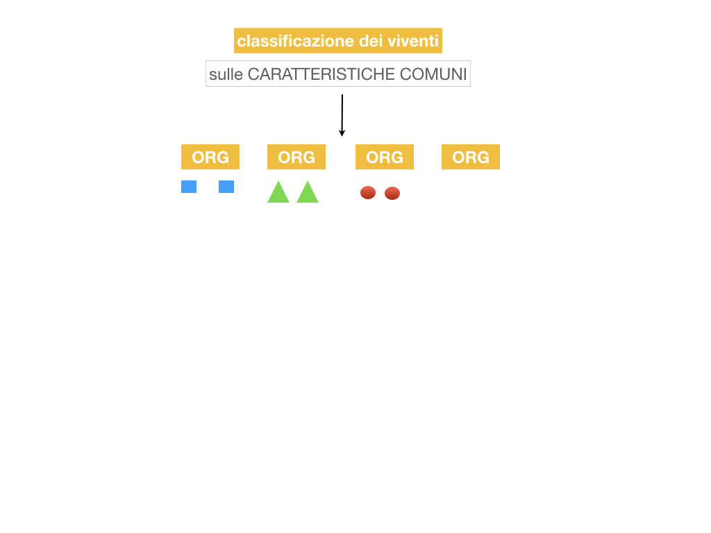 classificazione_viventi_SIMULAZIONE.007