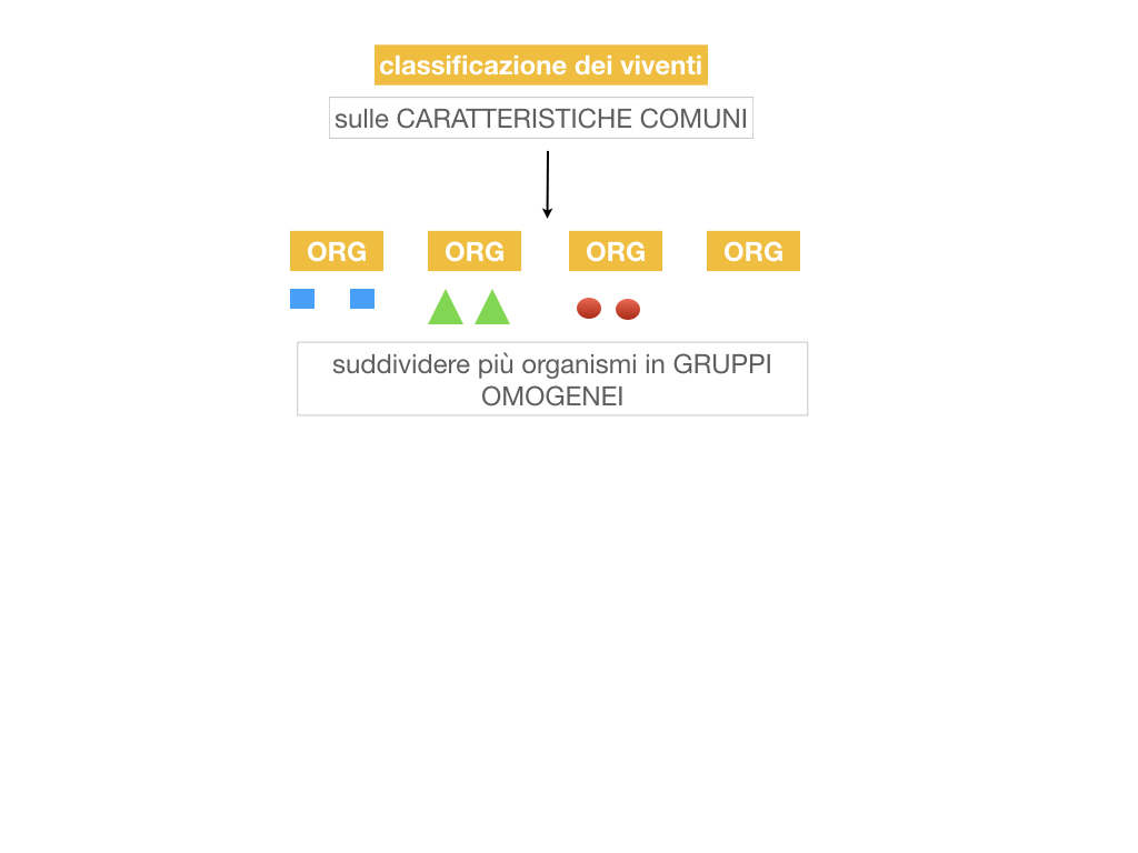 classificazione_viventi_SIMULAZIONE.008