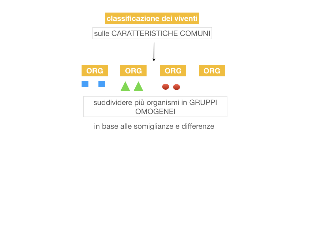 classificazione_viventi_SIMULAZIONE.009