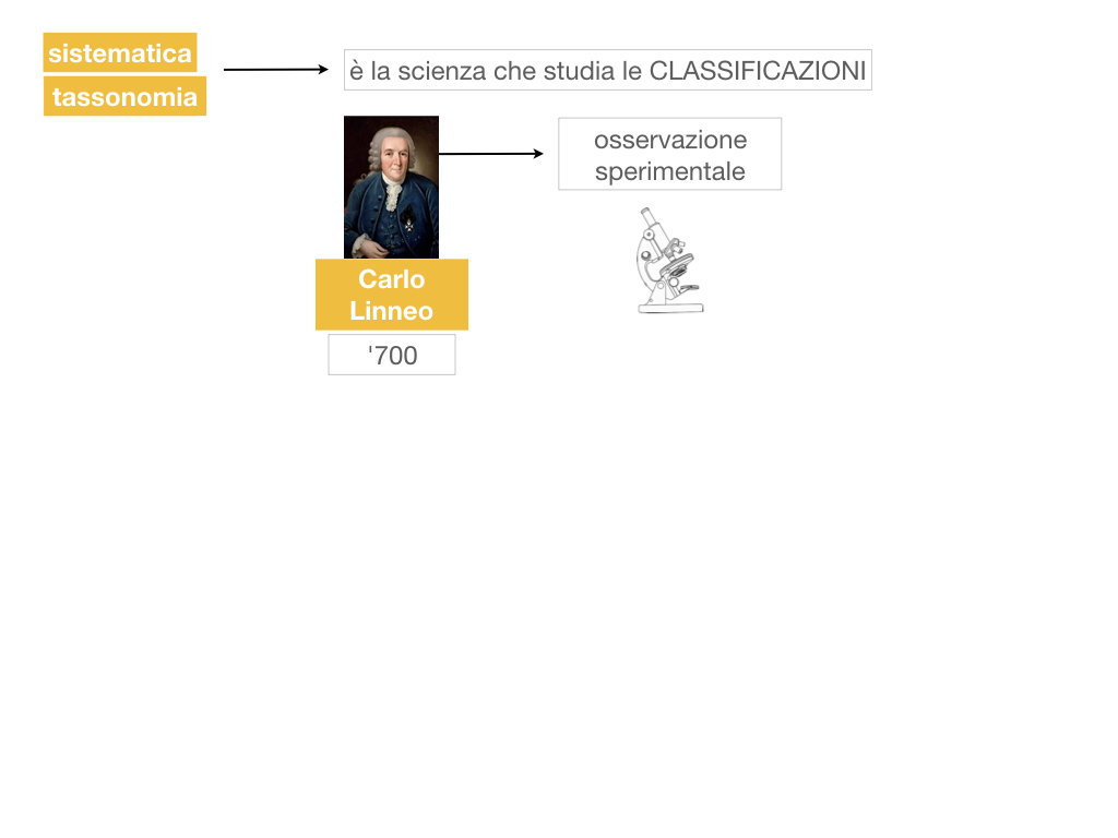 classificazione_viventi_SIMULAZIONE.022