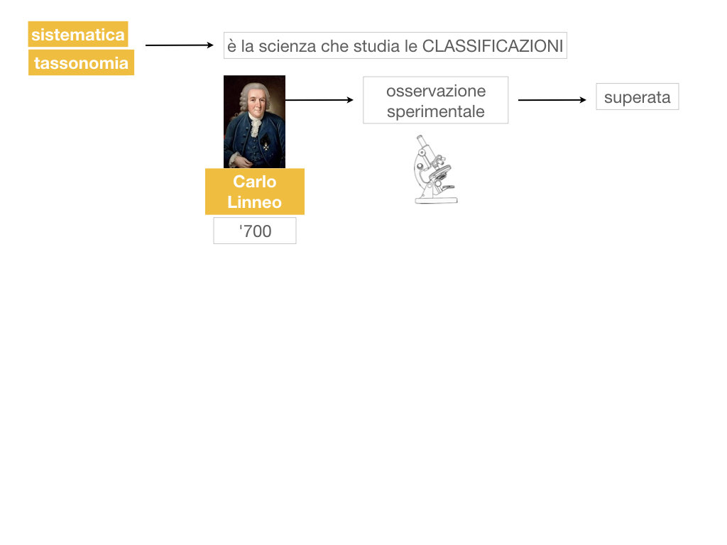 classificazione_viventi_SIMULAZIONE.023