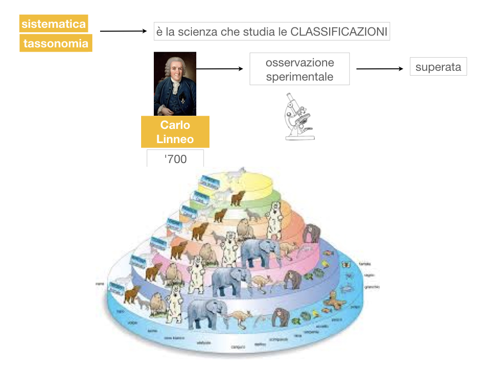 classificazione_viventi_SIMULAZIONE.024