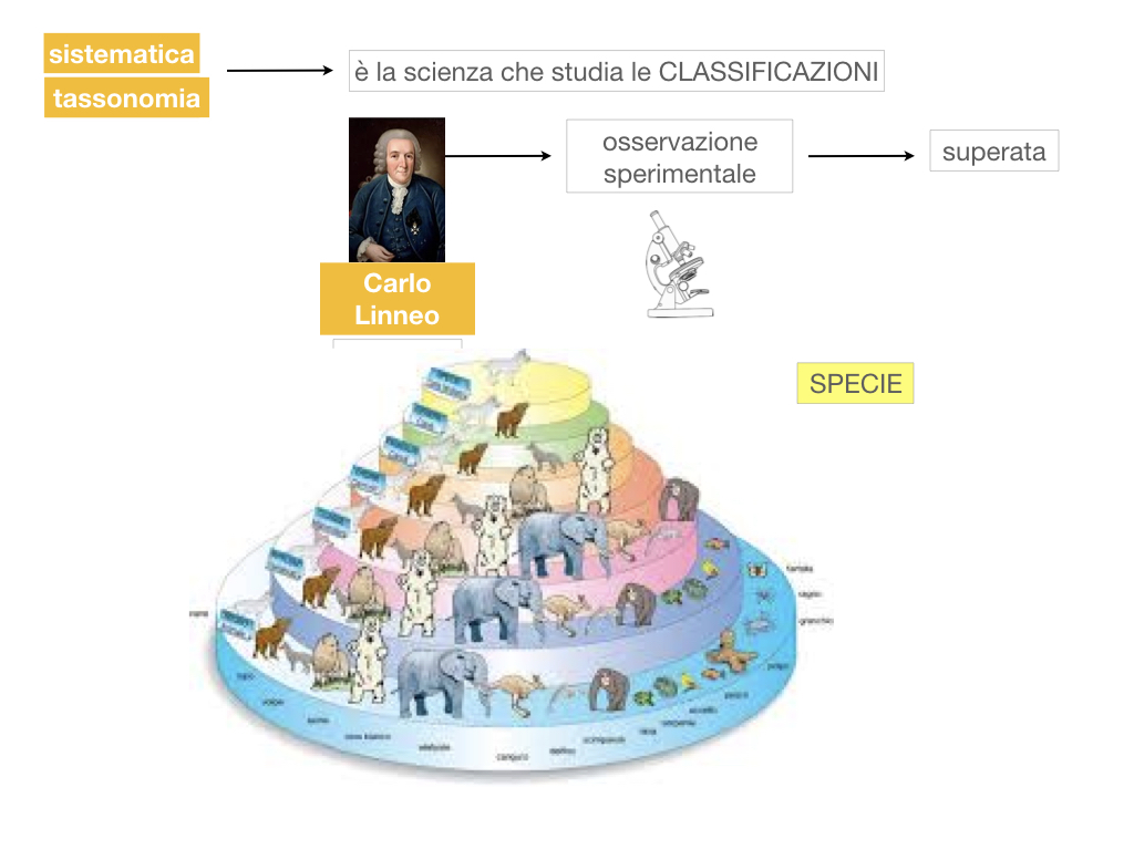 classificazione_viventi_SIMULAZIONE.025