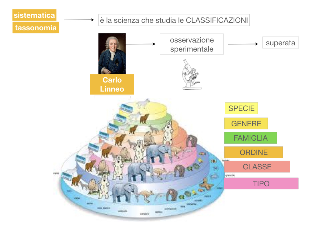 classificazione_viventi_SIMULAZIONE.030