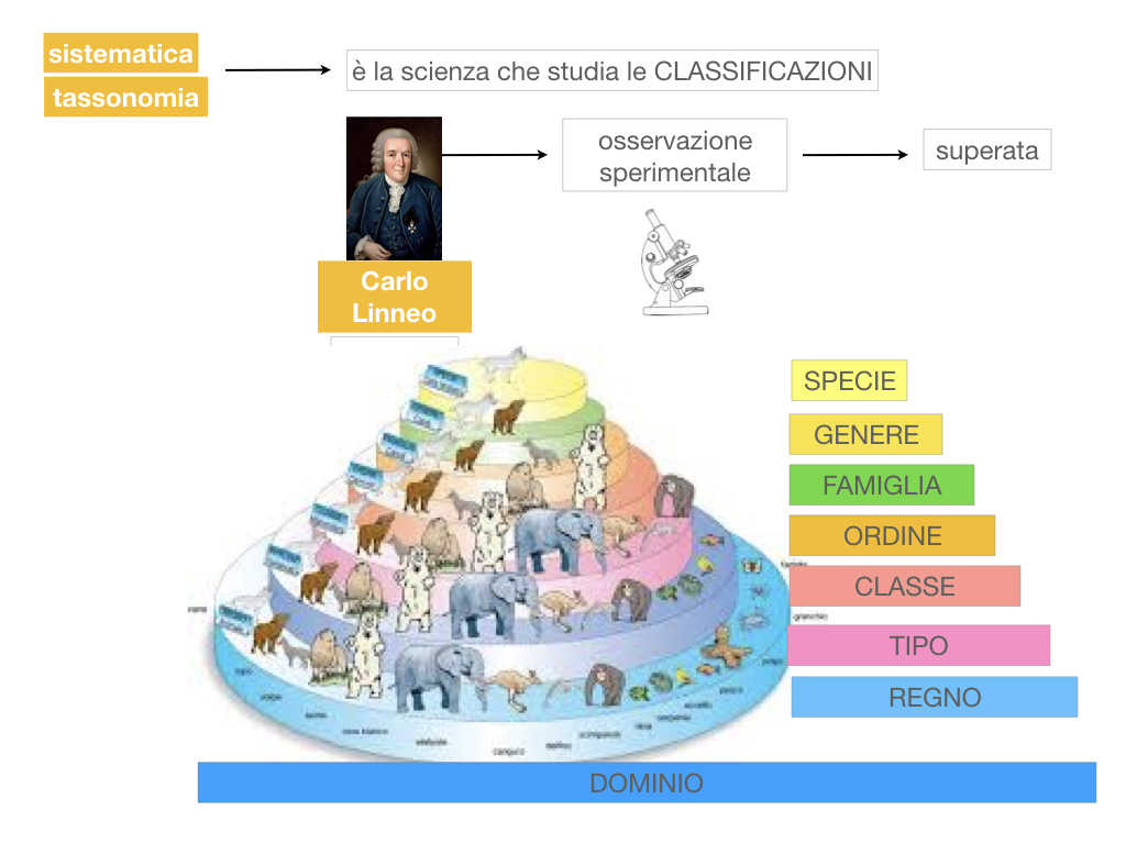 classificazione_viventi_SIMULAZIONE.032