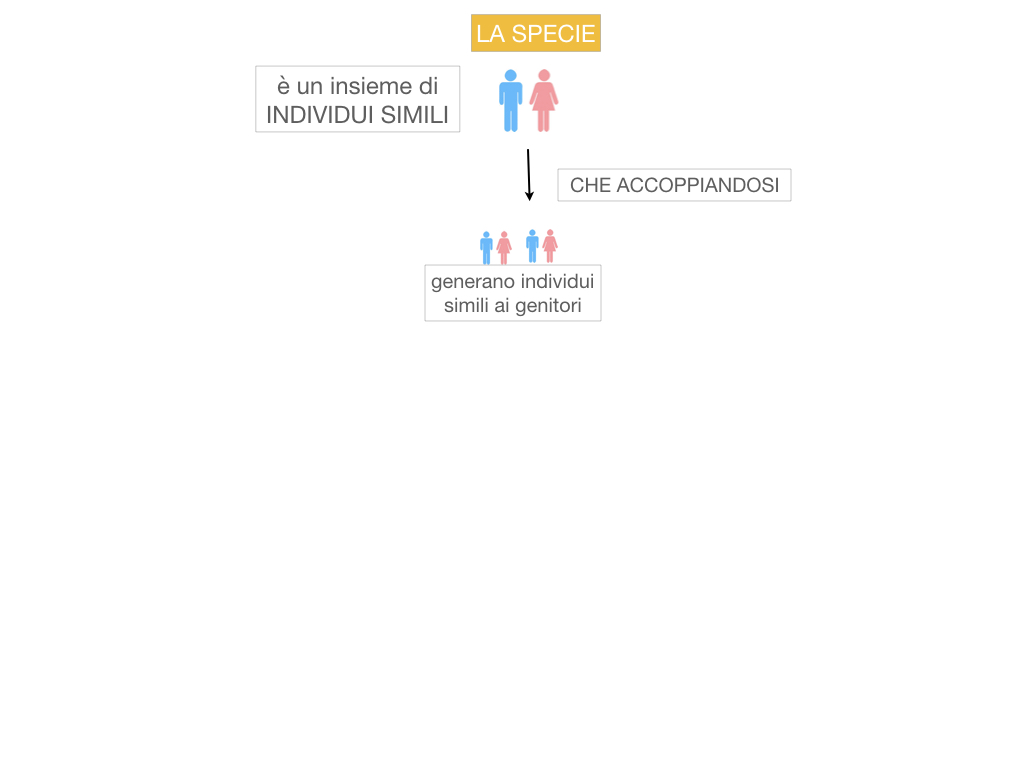 classificazione_viventi_SIMULAZIONE.036