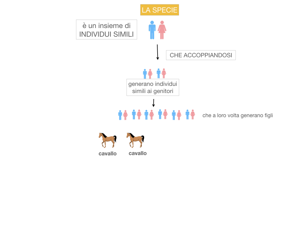 classificazione_viventi_SIMULAZIONE.039