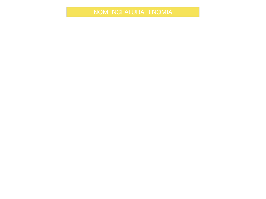 classificazione_viventi_SIMULAZIONE.066