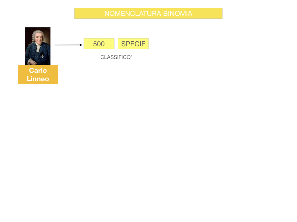 classificazione_viventi_SIMULAZIONE.068
