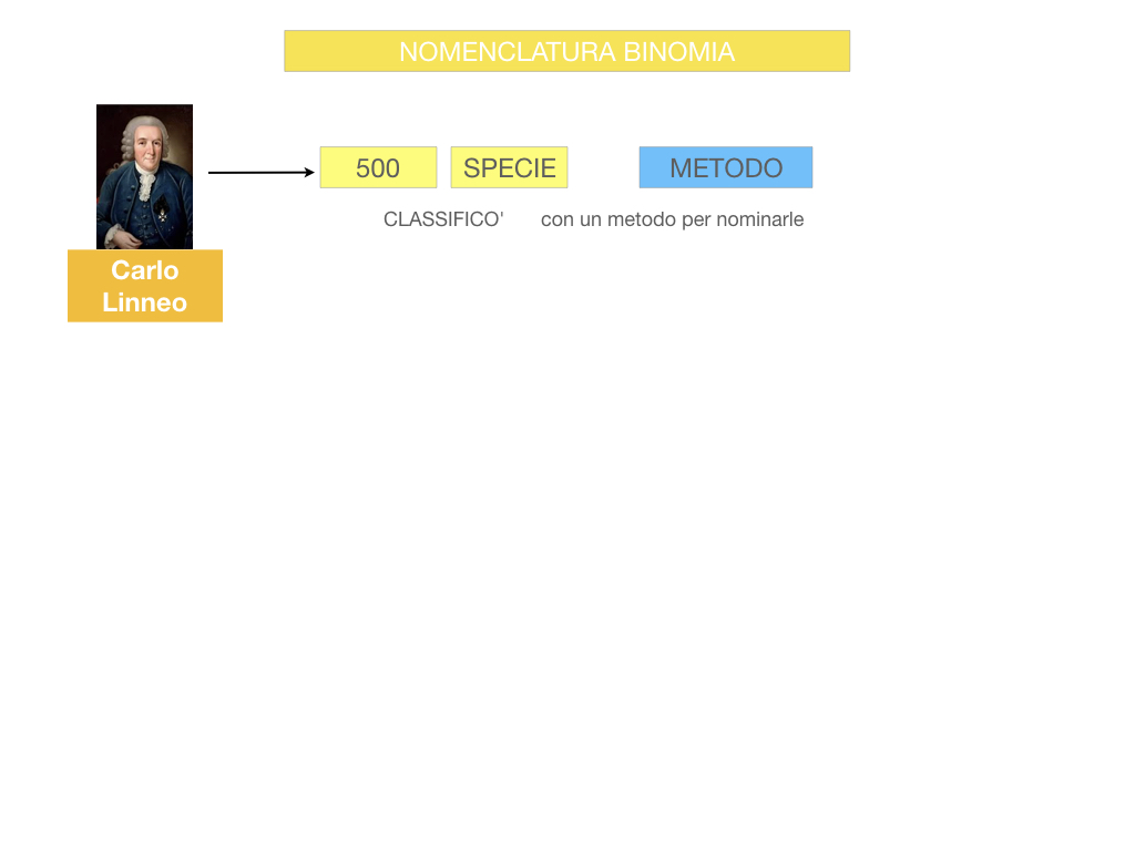 classificazione_viventi_SIMULAZIONE.069