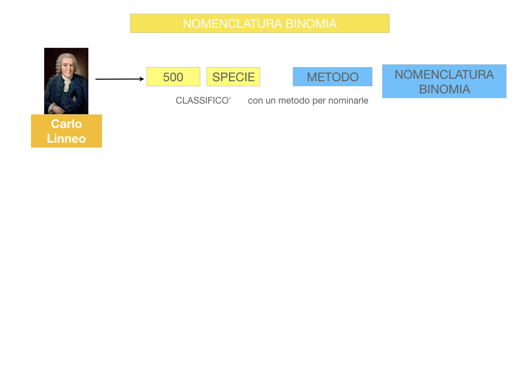 classificazione_viventi_SIMULAZIONE.070