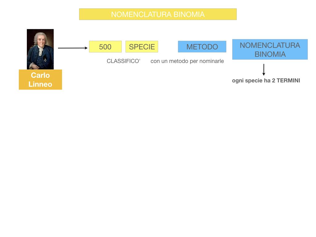 classificazione_viventi_SIMULAZIONE.071
