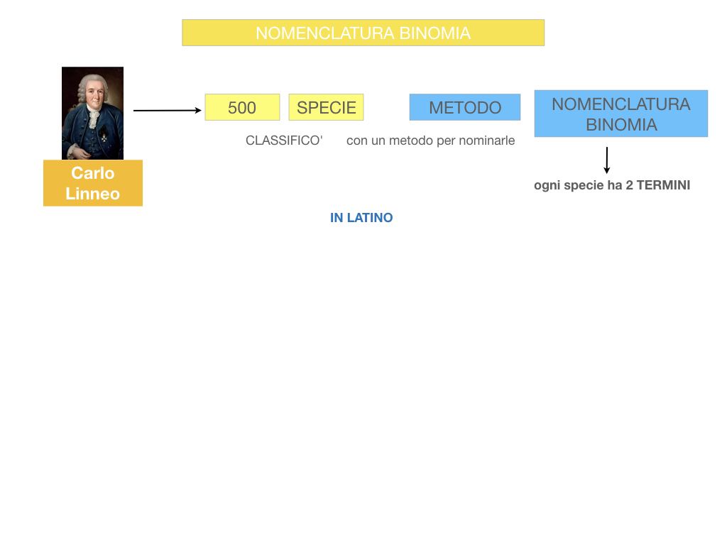 classificazione_viventi_SIMULAZIONE.072