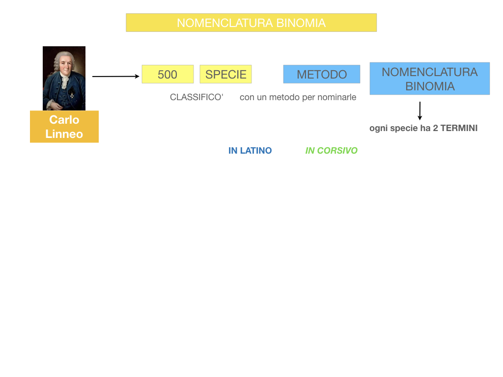 classificazione_viventi_SIMULAZIONE.073