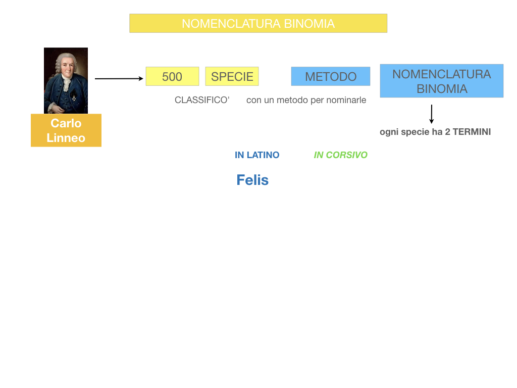 classificazione_viventi_SIMULAZIONE.074