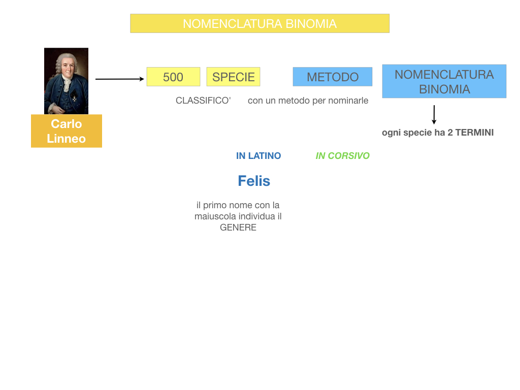 classificazione_viventi_SIMULAZIONE.075