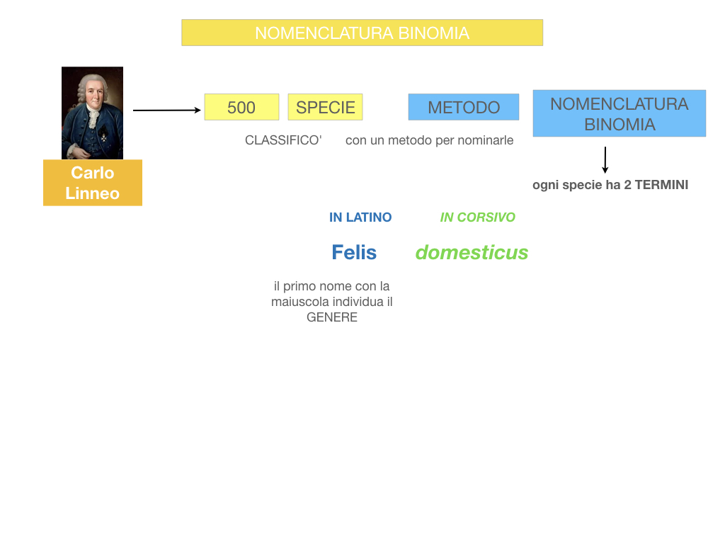 classificazione_viventi_SIMULAZIONE.076