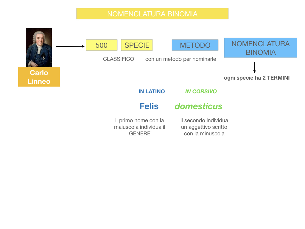 classificazione_viventi_SIMULAZIONE.077