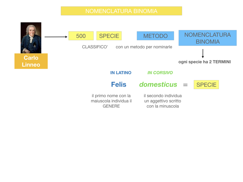 classificazione_viventi_SIMULAZIONE.078