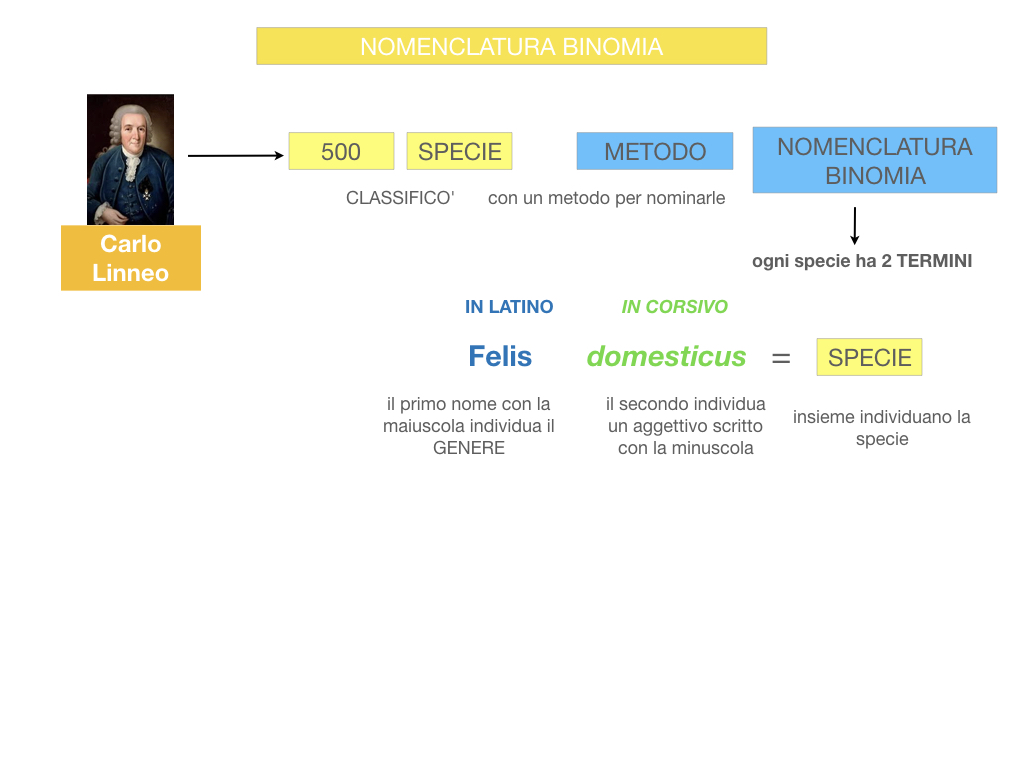 classificazione_viventi_SIMULAZIONE.079