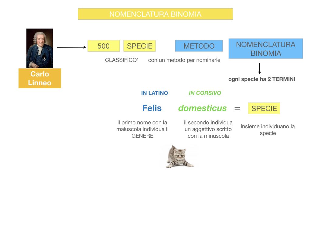 classificazione_viventi_SIMULAZIONE.080