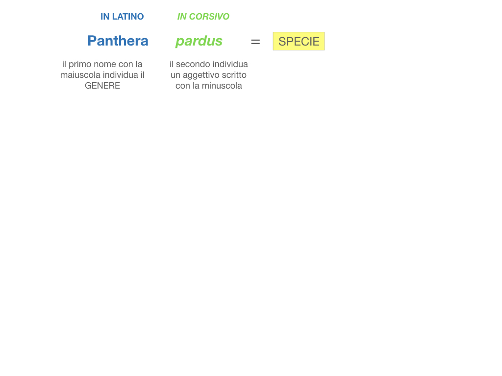 classificazione_viventi_SIMULAZIONE.086