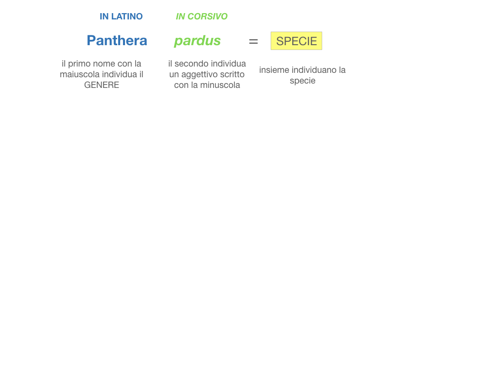 classificazione_viventi_SIMULAZIONE.087