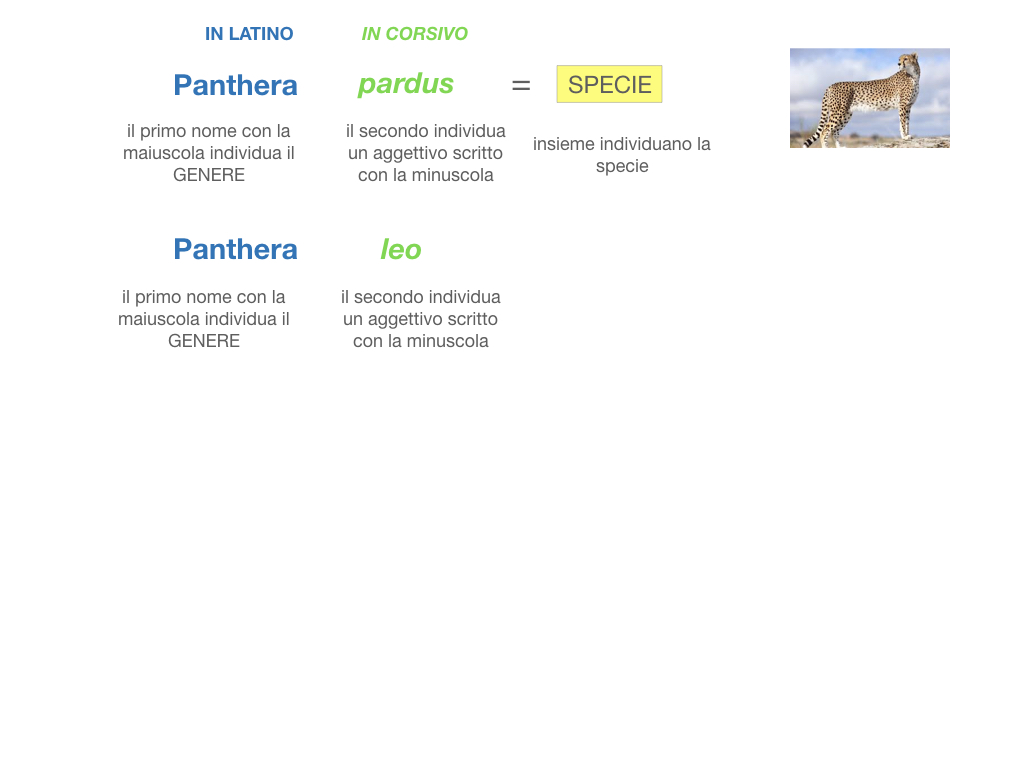 classificazione_viventi_SIMULAZIONE.090