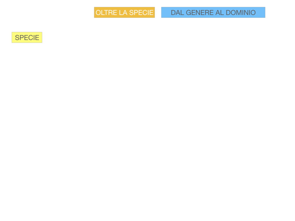 classificazione_viventi_SIMULAZIONE.098