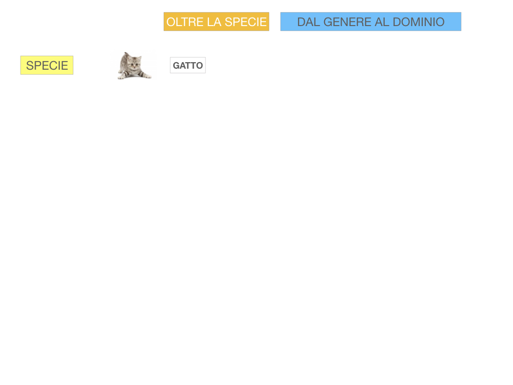 classificazione_viventi_SIMULAZIONE.099