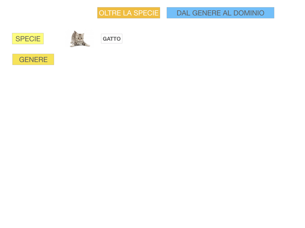 classificazione_viventi_SIMULAZIONE.100