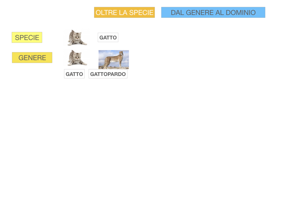classificazione_viventi_SIMULAZIONE.102