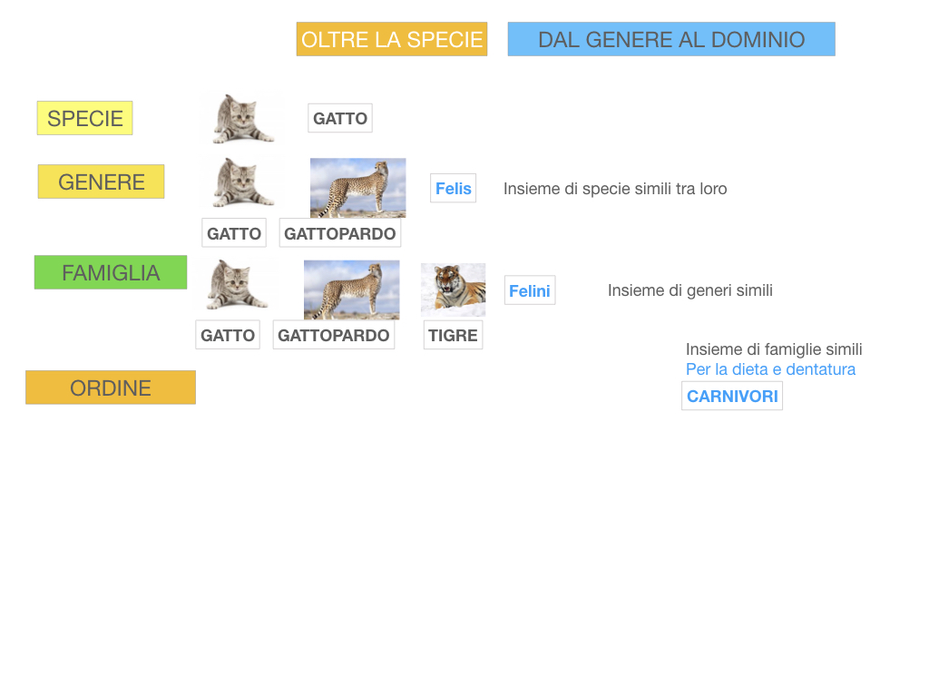 classificazione_viventi_SIMULAZIONE.112