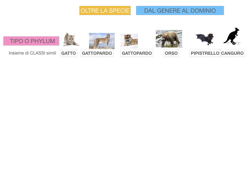 classificazione_viventi_SIMULAZIONE.123