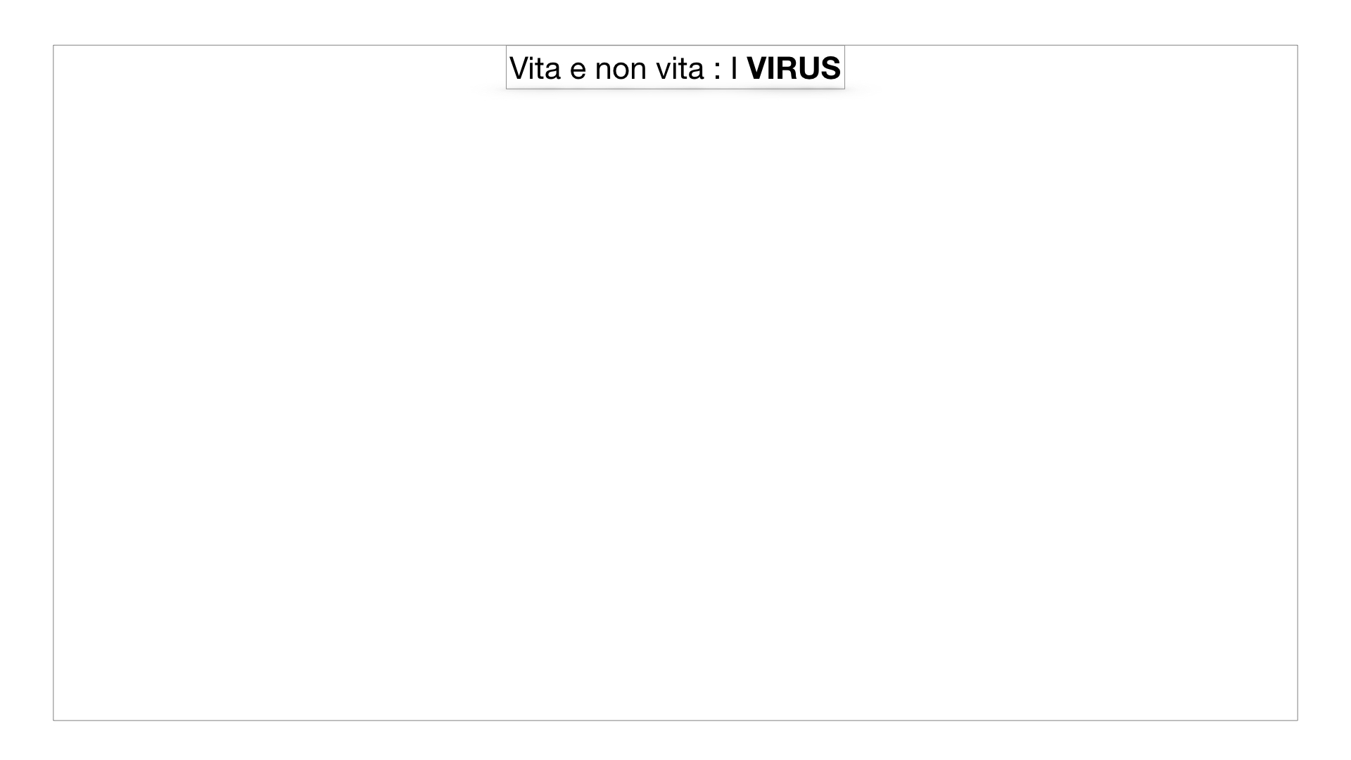 5. VIRUS_SIMULAZIONE.001