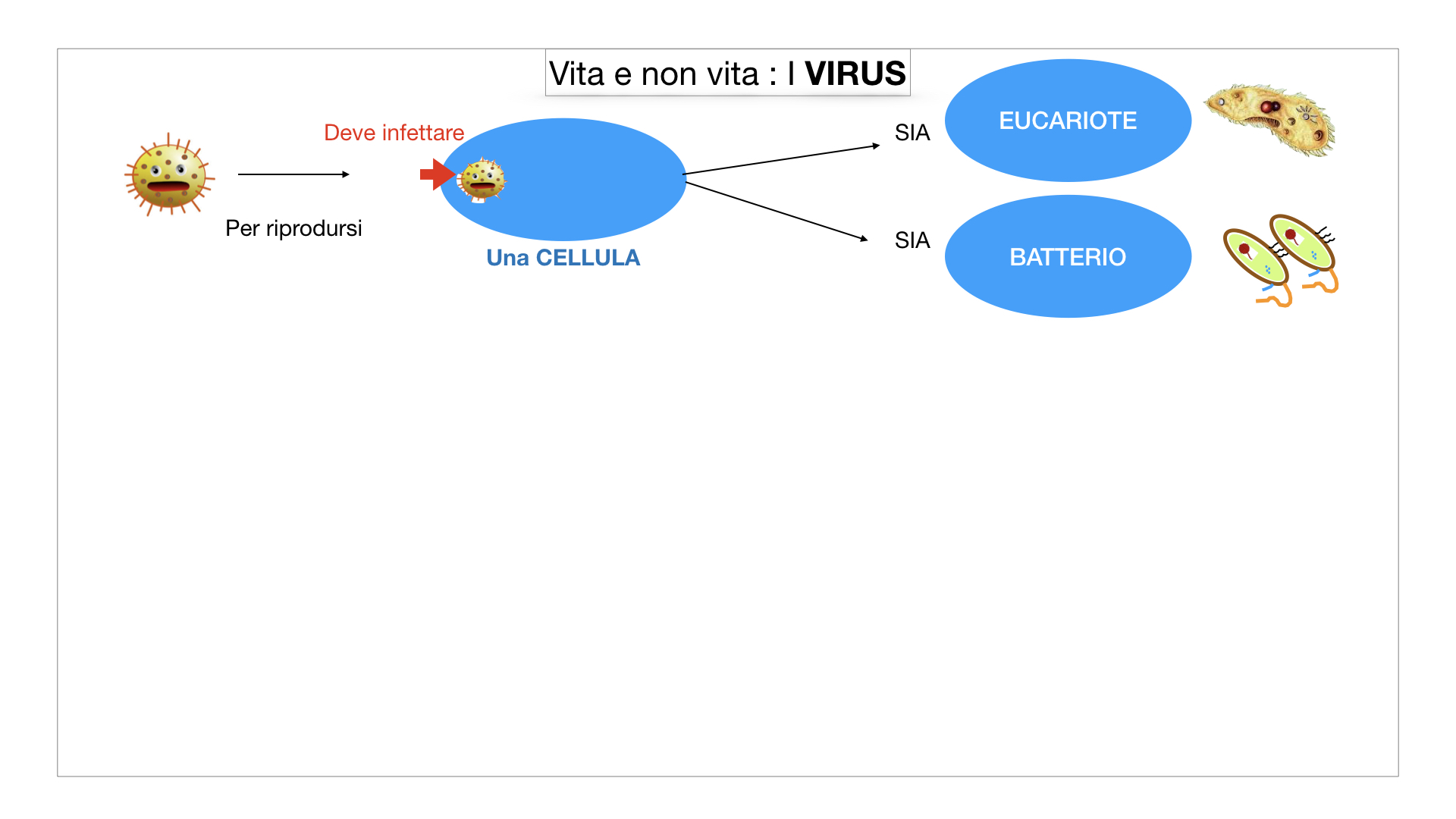 5. VIRUS_SIMULAZIONE.006