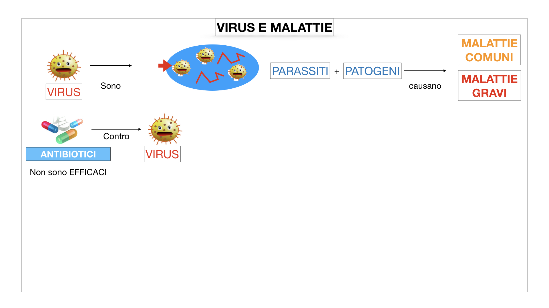 5. VIRUS_SIMULAZIONE.029