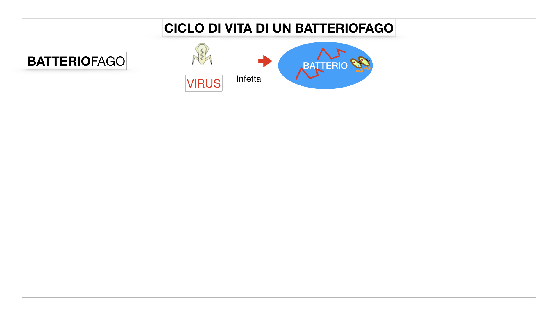 5. VIRUS_SIMULAZIONE.041