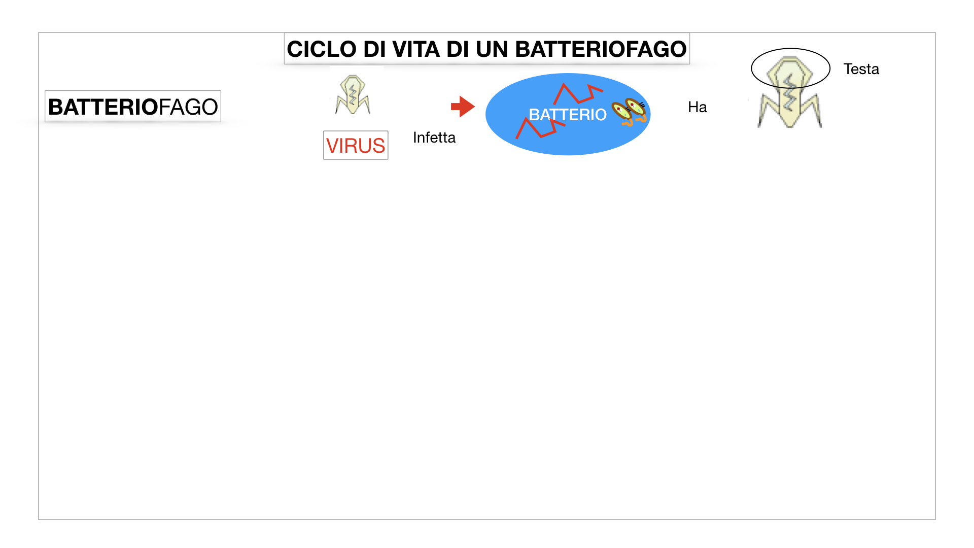 5. VIRUS_SIMULAZIONE.042