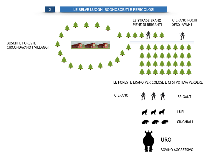 6.STORIA_IL MONDO DELLE FORESTE_SIMULAZIONE.022