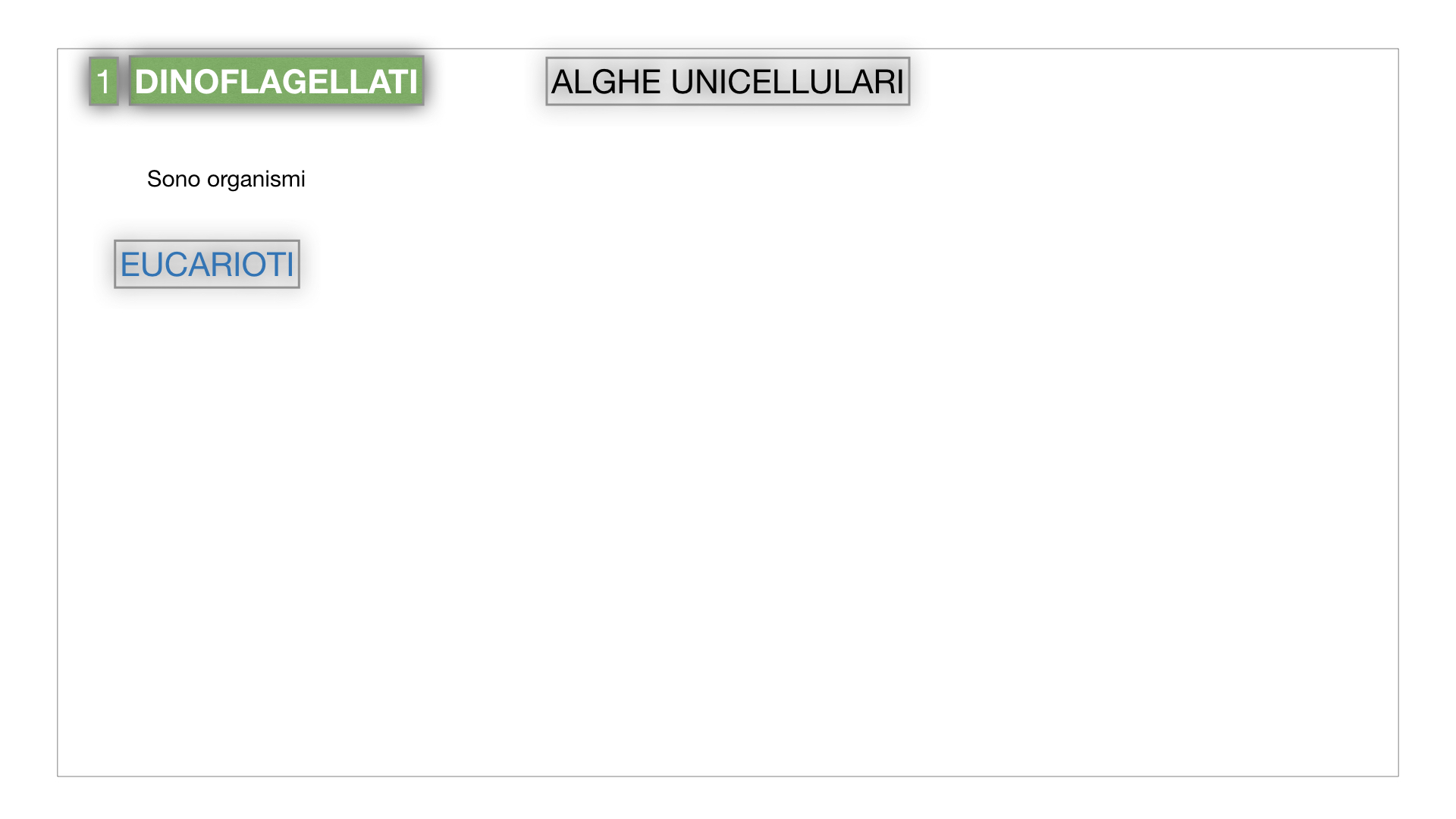 8. alghe uni_pluri_cellulari_SIMULAZIONE.003