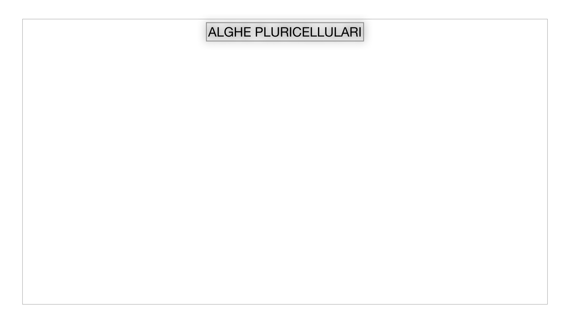 8. alghe uni_pluri_cellulari_SIMULAZIONE.023