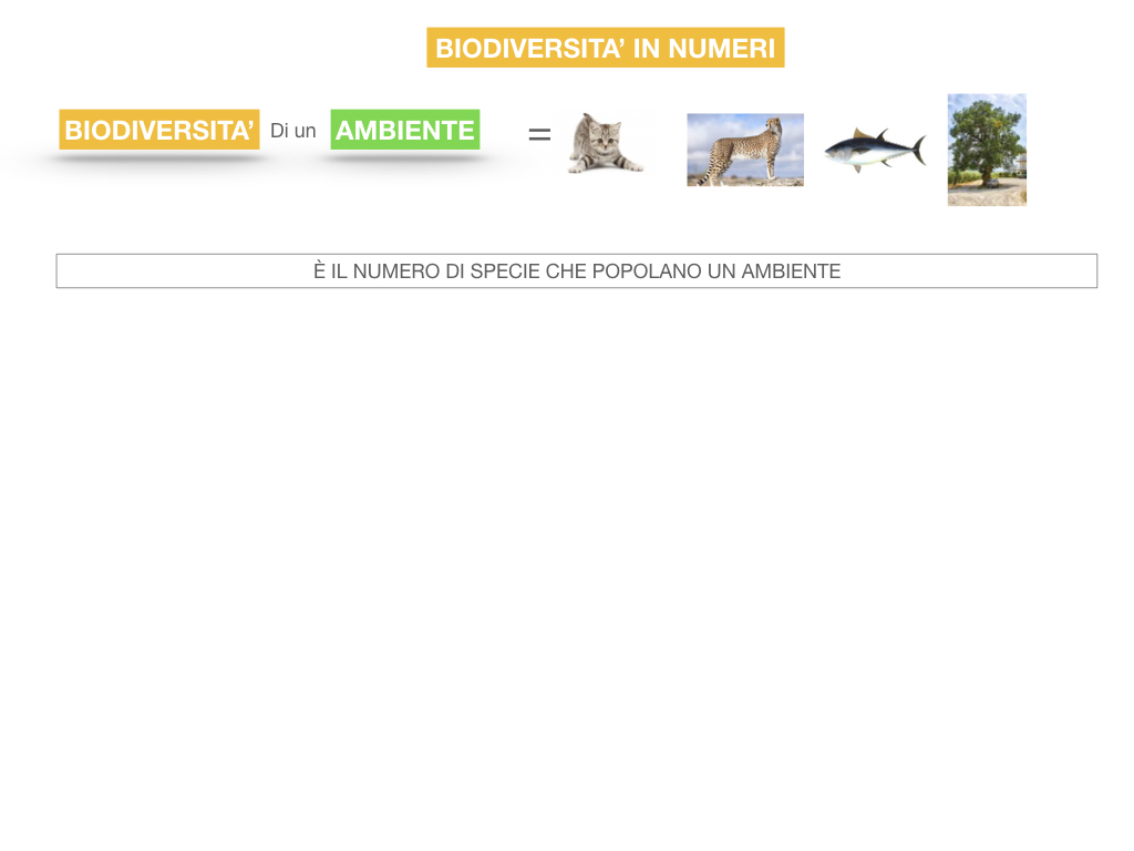 domini_regni_biodiversità_SIMULAZIONE.054