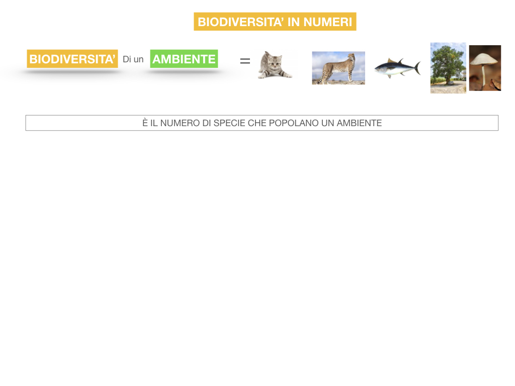 domini_regni_biodiversità_SIMULAZIONE.055