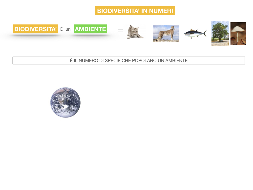 domini_regni_biodiversità_SIMULAZIONE.056